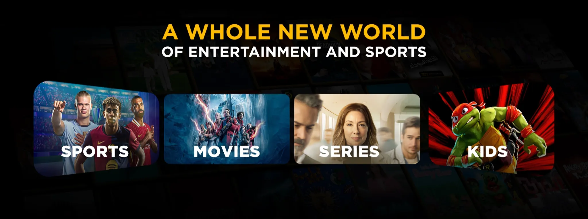 IPTV Kategorien Desktop – Sport, Filme, Serien, News kaufen