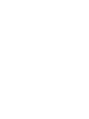 Champions League IPTV Stream kaufen