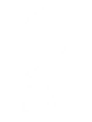 UEFA Europa League IPTV Abonnement kaufen